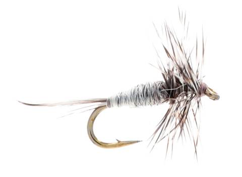 Midge - Grizzly